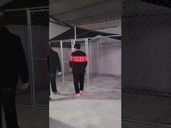 กรงสุนัขเหล็ก