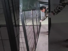 6FT ความสูง welded เหล็ก Dog Kennel Powder ครอบคลุม Dog Run House