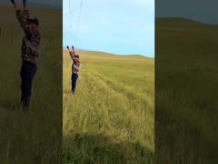 แผ่นรั้ววัดวัวหมักร้อน 8 ฟุต ความสูงคงที่ Knot กวางสาย Mesh รั้ว