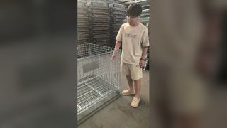 กรงเก็บลวดตาข่ายแบบพับได้สำหรับงานหนักสำหรับคลังสินค้า