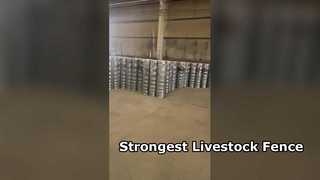 รั้วปศุสัตว์ที่แข็งแกร่งสำหรับม้าโค