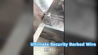 รั้วรักษาความปลอดภัยลวดหนามชุบสังกะสี 25 กก