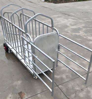 2M Large Humane Live Animal Trap Cage Single Door Animal Catcher Cage