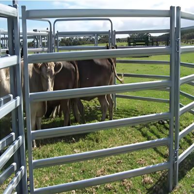 Galvanized Steel Horse Fence Panel 1.8x2.1m Heavy Duty Livestock Corral