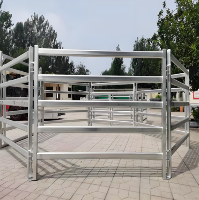 5 รีล Galvanized วงกลม Tube โลหะ แกะวัว Fence แพเนล
